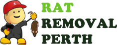 Rat Removl Perth 